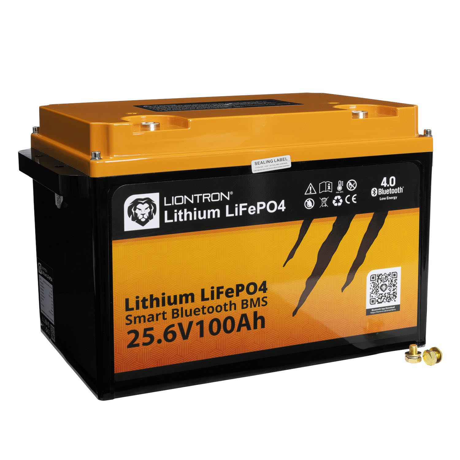 Liontron 100Ah 25,6V LiFePO4 Lithium Batterie BMS Bluetooth mit App