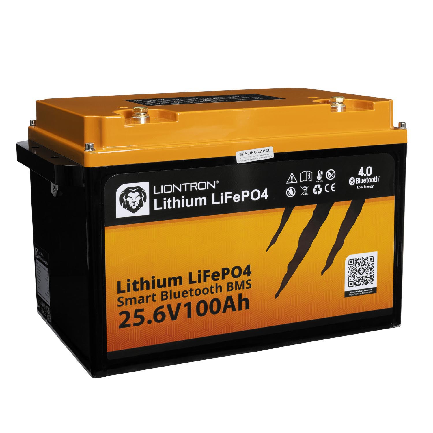 Liontron 100Ah 25,6V LiFePO4 Lithium Batterie BMS Bluetooth mit App Arctic und Marine