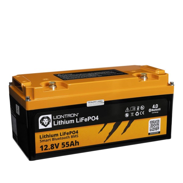 Liontron 55Ah 12V LiFePO4 Lithium Batterie Wohnmobil BMS mit App